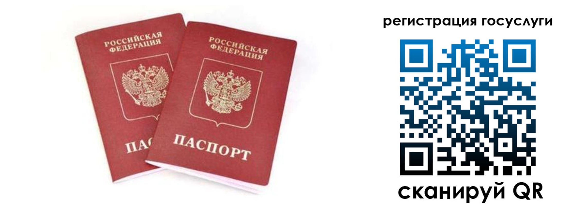 прописка в квартире в Александрове